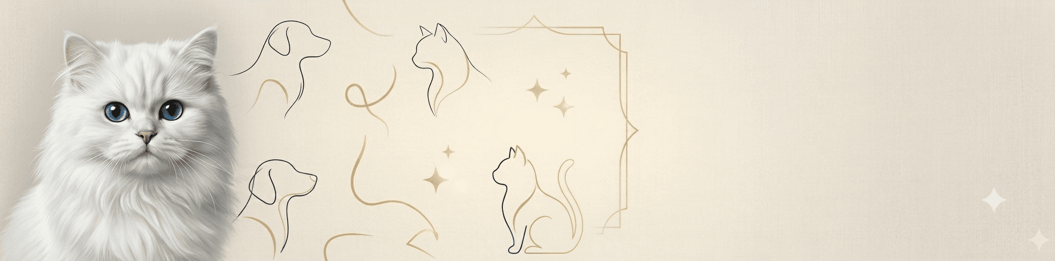 Banner background